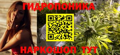 прущие грибы Можайск