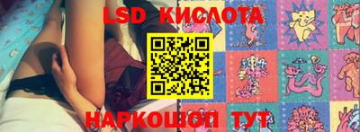прущие грибы Можайск