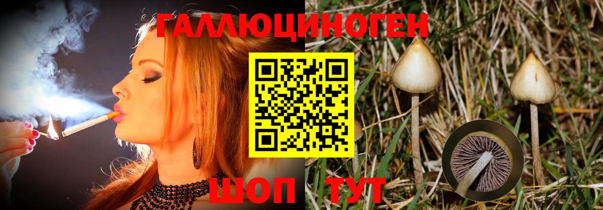 Галлюциногенные грибы Magic Shrooms  Вход с VPN  Гуково 