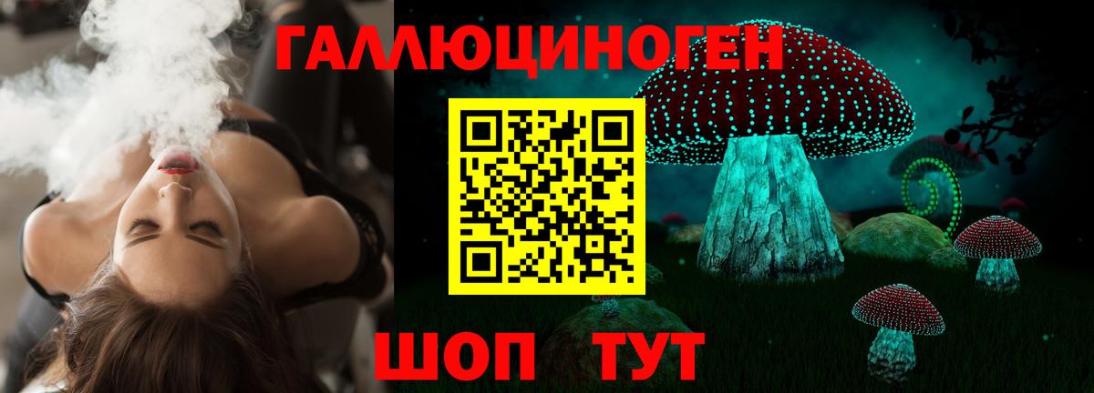 Псилоцибиновые грибы прущие грибы Гуково